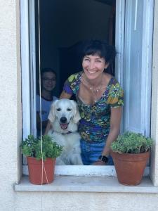 SetterHouseAgriHotel