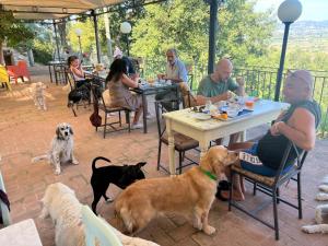 SetterHouseAgriHotel