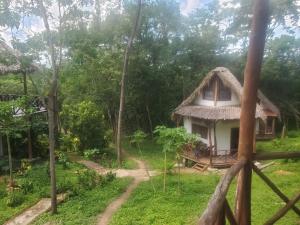 Tuani ecoLodge