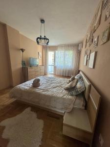 Spacious Apartment next to South Park Просторен Апартамент до Южен Парк Top Location