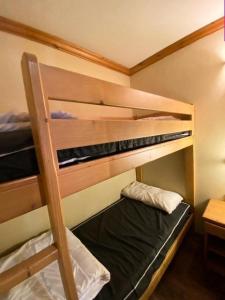 Résidence Alpina Lodge - Séduisant et chaleureux appartement pour 6pers. au pied des pistes MAE-5631