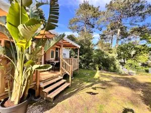 Un toit sur le bassin bungalow - Claouey