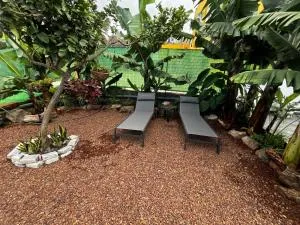 Casa El Lagar - La Guancha