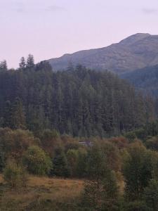 Twin Deer Lodge