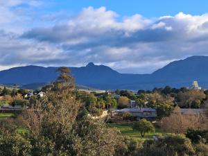 3 Pauw Street - 8 guests