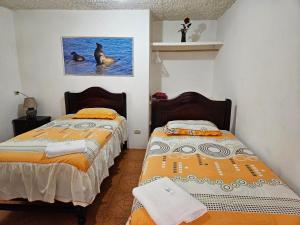 Hostal Cerro Azul