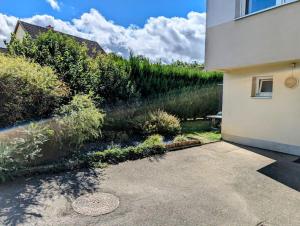 Maisons de vacances Belle Maison de famille en Alsace : photos des chambres