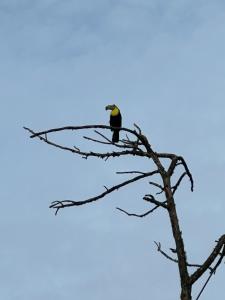 Cerro Azul Mountain Retreat