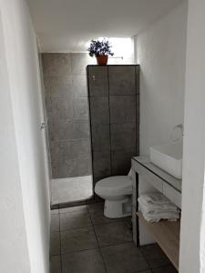 Suite colonia privada