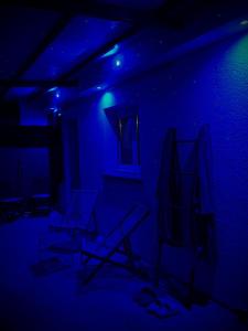 Maisons de vacances Boheme Spa&Sauna Orleans : photos des chambres