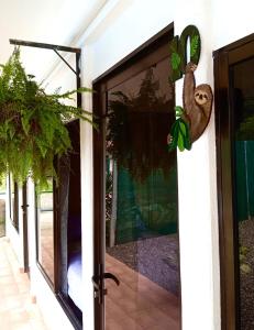 Habitaciones Kolibri