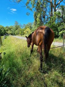 Charlie & Roys Farm Berry