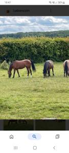 Maison en plein coeur du Vexin