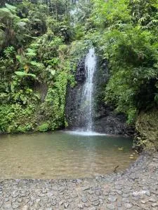 Le Ketmie nature et découverte - Quartier Fonds Mascret