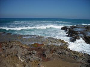 Spacious oceanfront 2BR apartment in Perla Marina