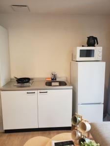 龙猫民宿-心斋桥店203