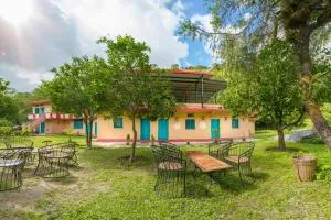 Dharohar Chopta - Gopeshwar