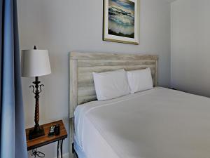 Shores of Panama #1423