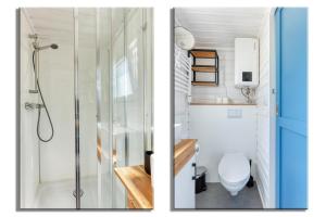 Blue Tiny House with HotTub