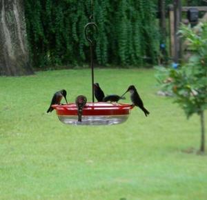 Las Acacias - Posada de Campo