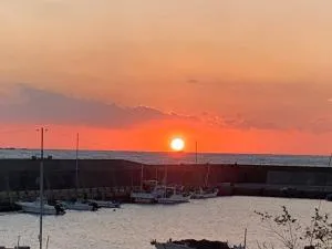 紀州安兵衛 - Wabuka