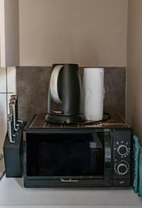 Appartements Le Vizier - Appartement design avec parking en centre ville : photos des chambres