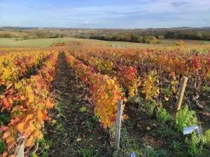 Les Meublés des Pierres Dorées - Gite de charme pour groupe avec sauna - Jarnioux