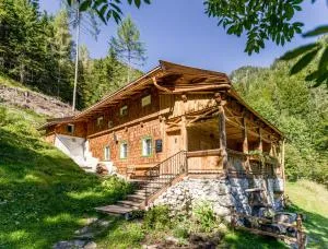 Talsenalm Wald Habitat - Winkl