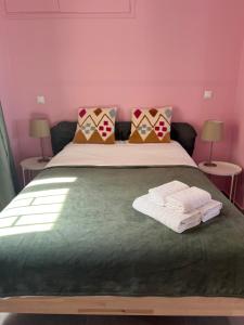 sky inn with wonderful Acropolis view in Neos kosmos