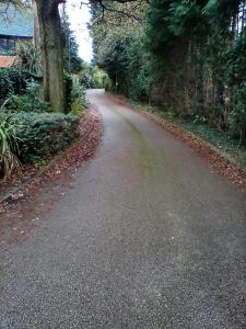 The Annex - Guest Gardens