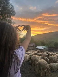 Căsuța Dede - 内霍瓦