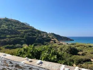 Kiparissi suit - Karavostamo