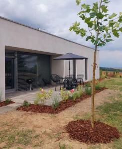 Pasivní dům uprostřed louky