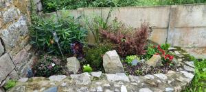 Appartements Studio confortable a Flamanville - 35m² - Jardin prive : photos des chambres
