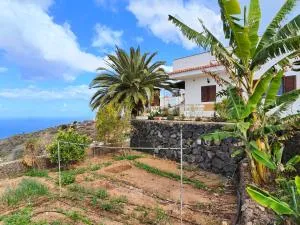 The Lemon Factory - El Retamar