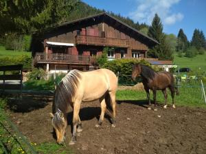Appartements Gaiana - Terre des Possibles : photos des chambres