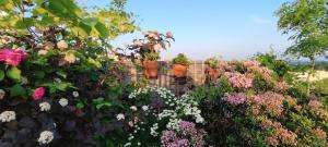 Guestrooms, rooftop with garden, spacious living room, character and fireplace