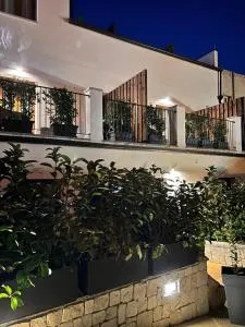 Longevity Hotel - تورتولي