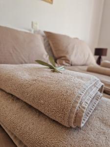 House Olive Garden Strunjan 