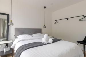 Appartement Albi Parking Gratuit
