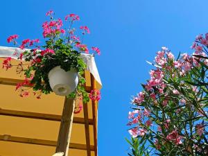 Le Lagon Rose nice bungalow Camping SIBLU le Mar Estang Canet-en-Roussillon, 2 rooms, 2 bathrooms, 2 TV, free WIFI, sheets & towels included, beach at 5 mn walk