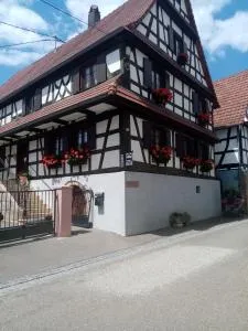 Gite Anne & Jean-Paul - Langensoultzbach