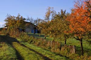 B&B / Chambres d'hotes Terres de la Grange : photos des chambres