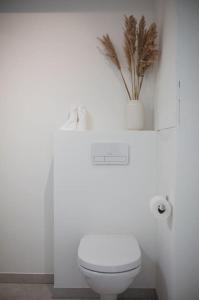 Amazing studio near the sea