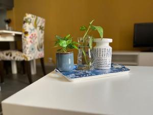 Appartements Appartement Remparts de Guerande : photos des chambres