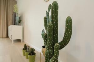 Stunning sea view Apartment in Ostend