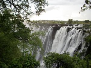 White Rhino apartments & tours