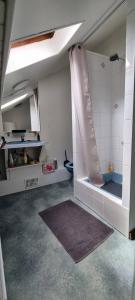 Studio centre ville Schirmeck