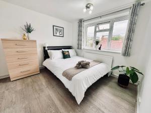 Spacious, stylish appartment close to transport