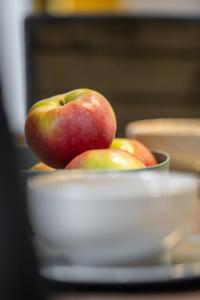 Apartament Łokietka